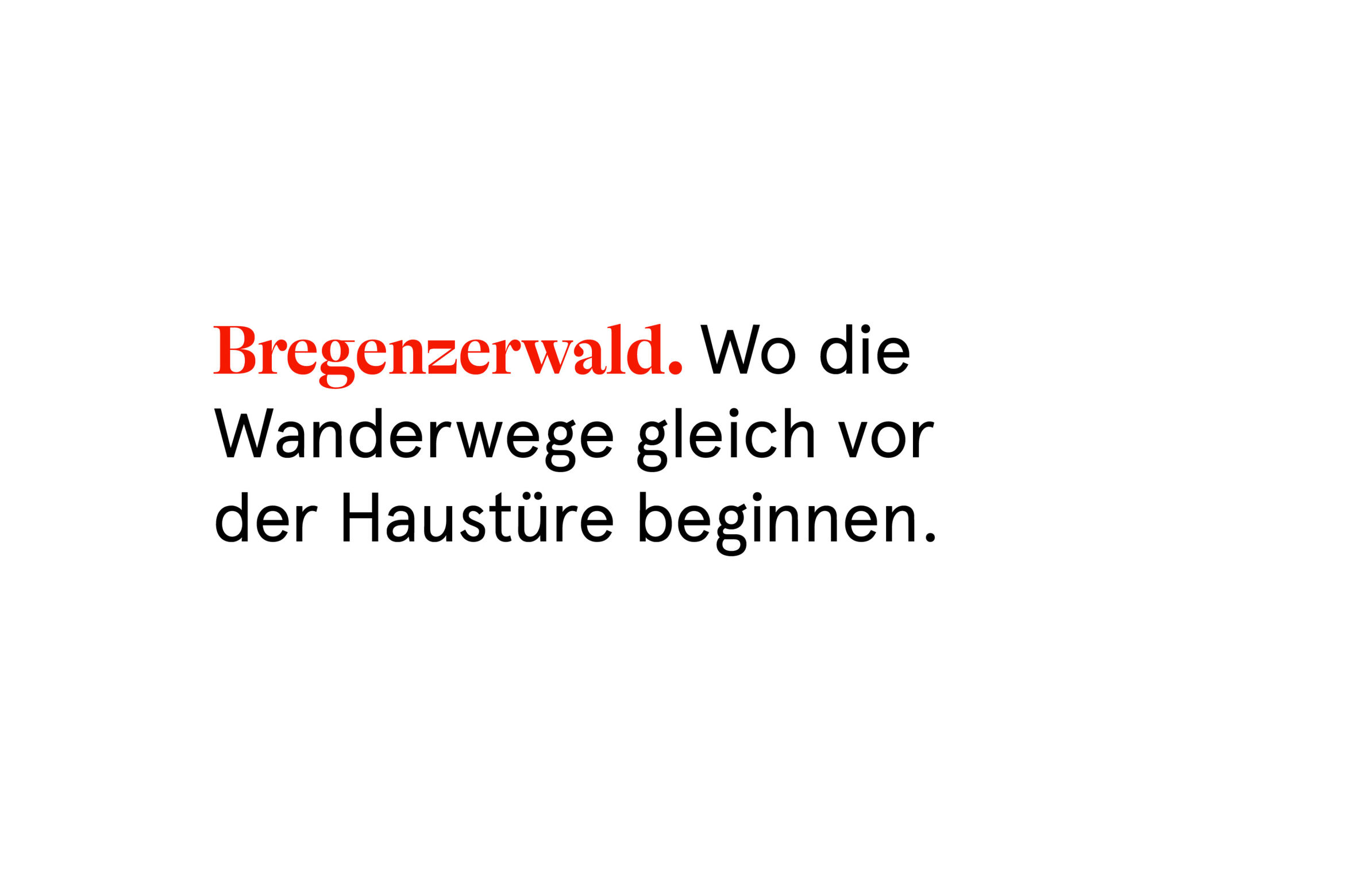 _01_Referenz_Bregenzerwald5.jpg