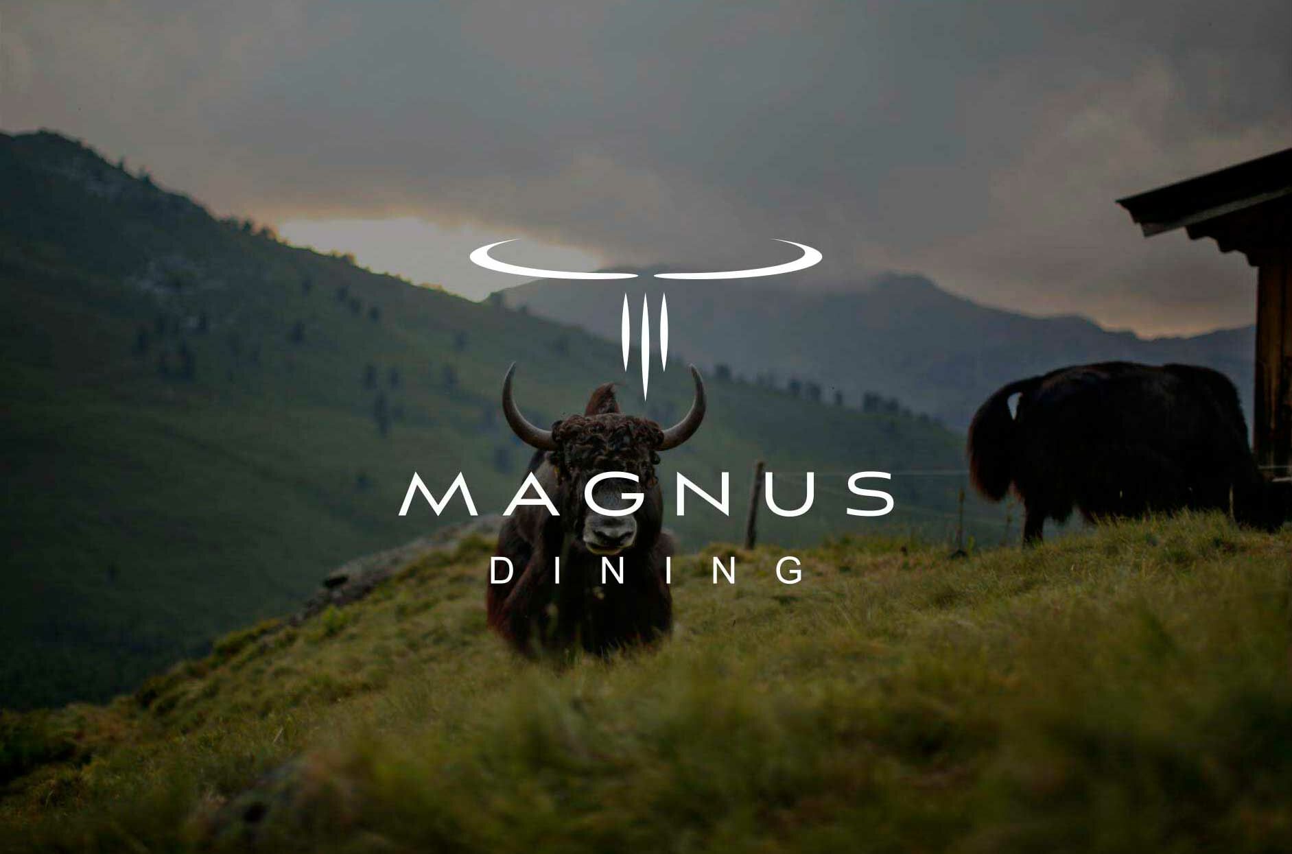 MAGNUS_Yak_1.jpg