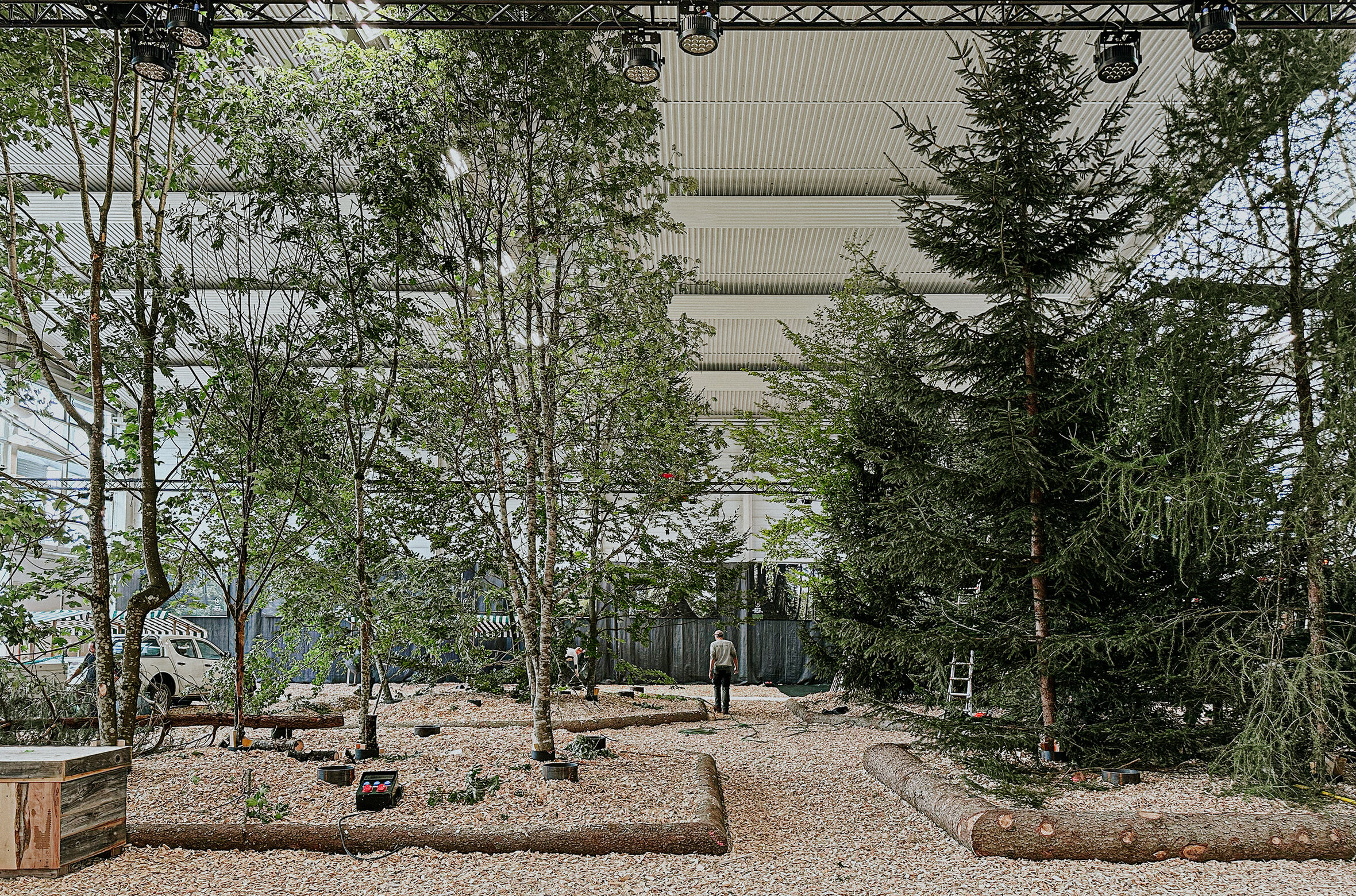 EVE-0042__upload_weitere_bilder__Der-Wald-Ruft_Live_1