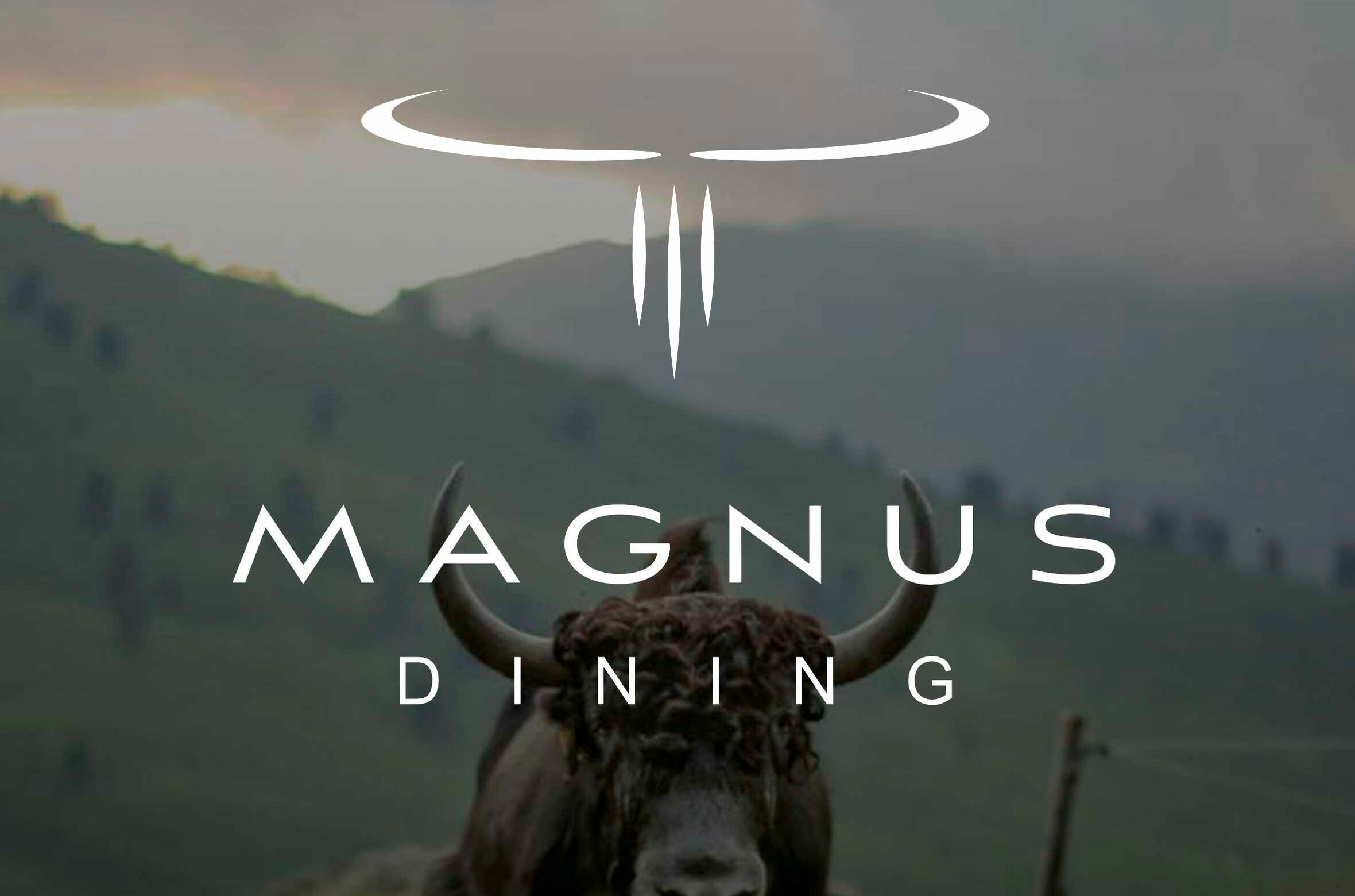 _Logo_MAGNUS_Foto.jpg