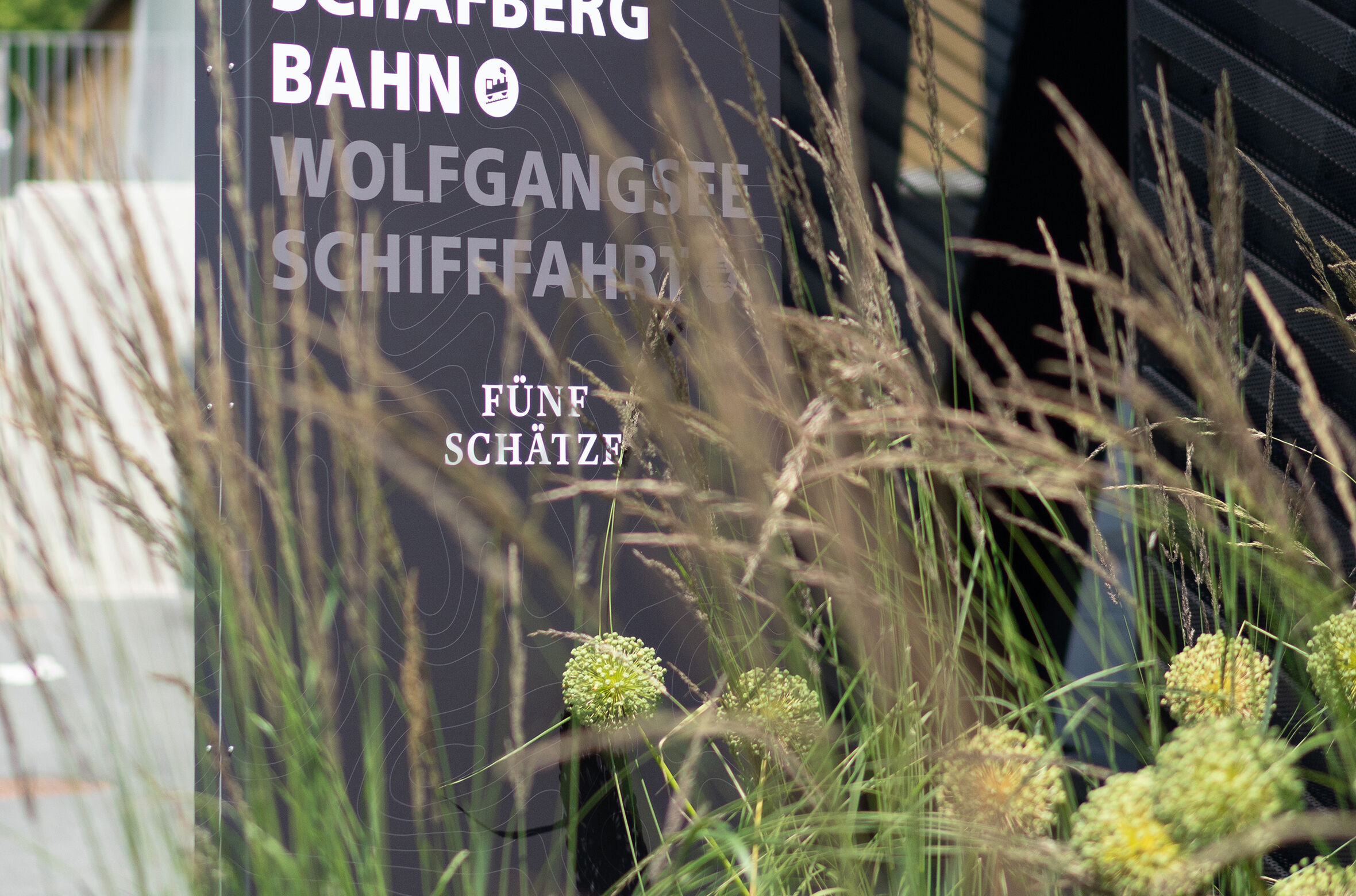 OOH199-saegen4-624177_gallery_KP23-Schafbergbahn-16