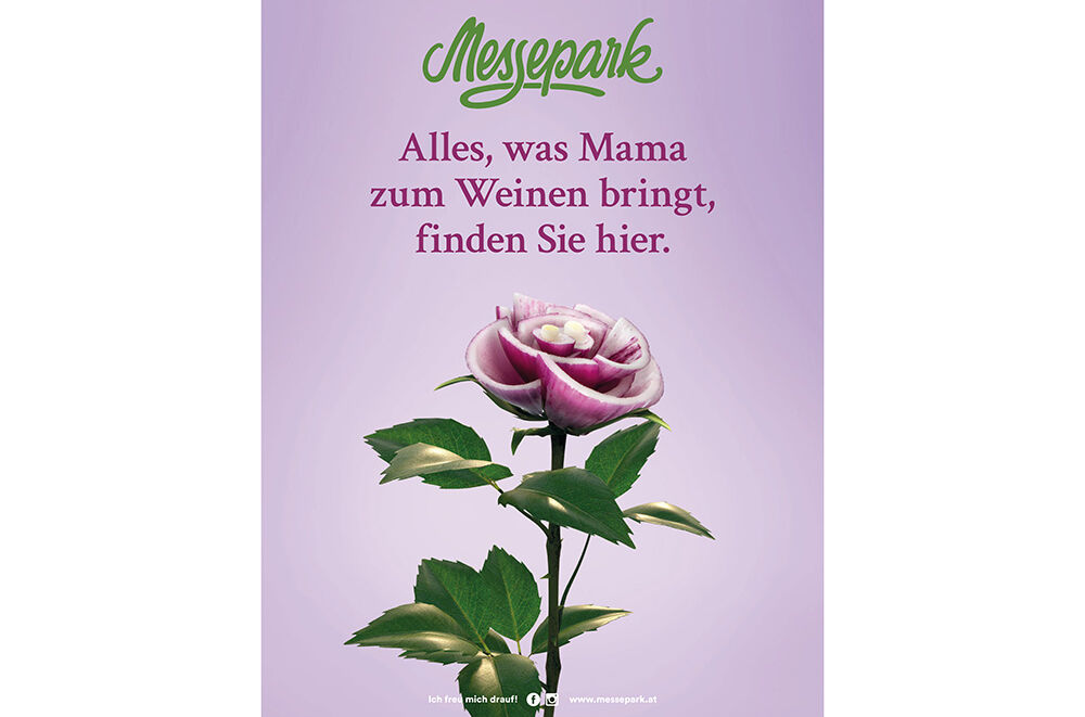 PRI0114-624973_gallery_Motiv-9-Rose-2400x1800