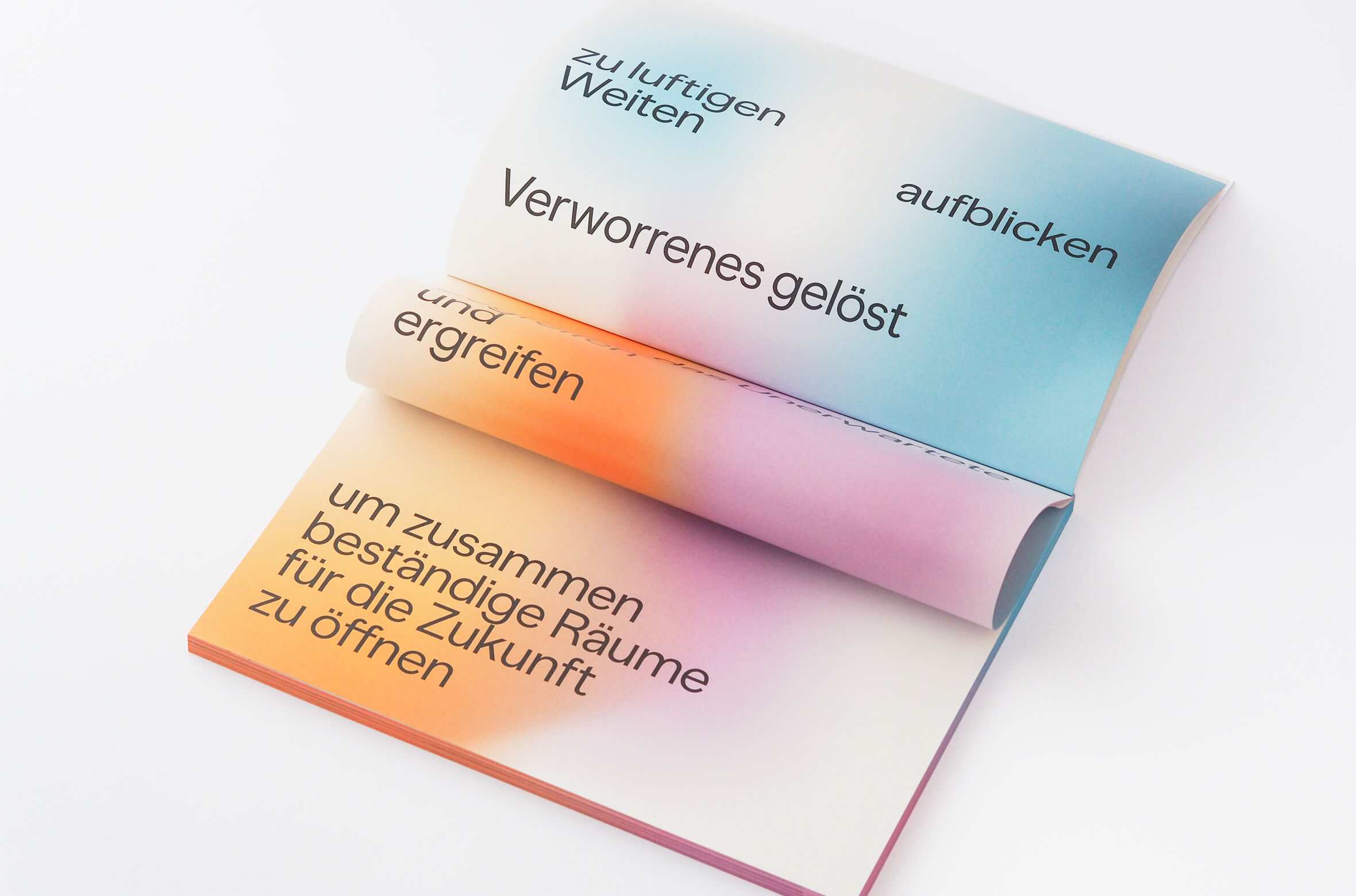PRI-0135__upload_weitere_bilder__Strolz_Katalog24-16