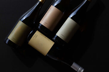 WeingutElisabeth_preview_brinifetz.jpg WeingutElisabeth_preview_brinifetz.jpg