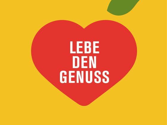 VLMI-Logo_rot.jpg VLMI-Logo_rot.jpg