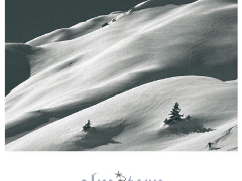 ALM-Aufsteller-web.jpg ALM-Aufsteller-web.jpg