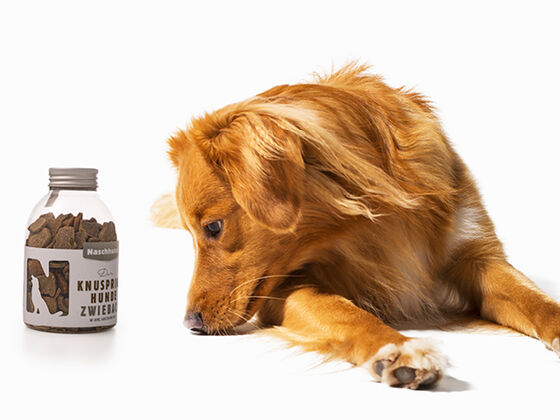 Naschhund_Titelbild_1_Vittles_©zurgams..jpg Naschhund_Titelbild_1_Vittles_©zurgams..jpg