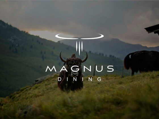 MAGNUS_Yak_1.jpg