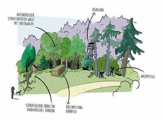 EIV Massnahmen für eine gute Zukunft Header.png