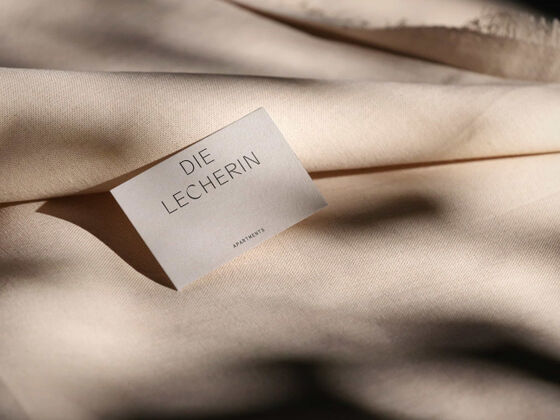 DieLecherin_preview_brinifetz.jpg