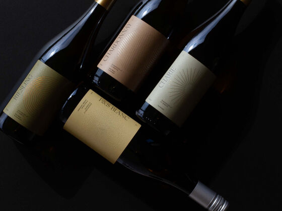 WeingutElisabeth_preview_brinifetz.jpg WeingutElisabeth_preview_brinifetz.jpg