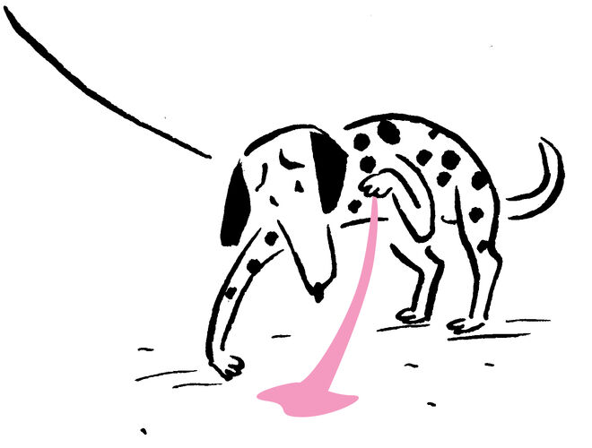 ©Christoph_Abbrederis_ILLUS_Hotels_5_Dalmatiner ©Christoph_Abbrederis_ILLUS_Hotels_5_Dalmatiner