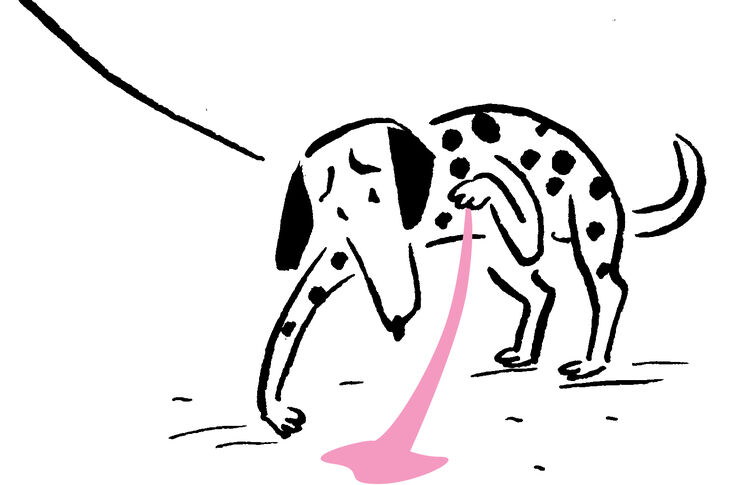 ©Christoph_Abbrederis_ILLUS_Hotels_5_Dalmatiner