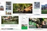 biomassehof-ilg-website-mockup.webp